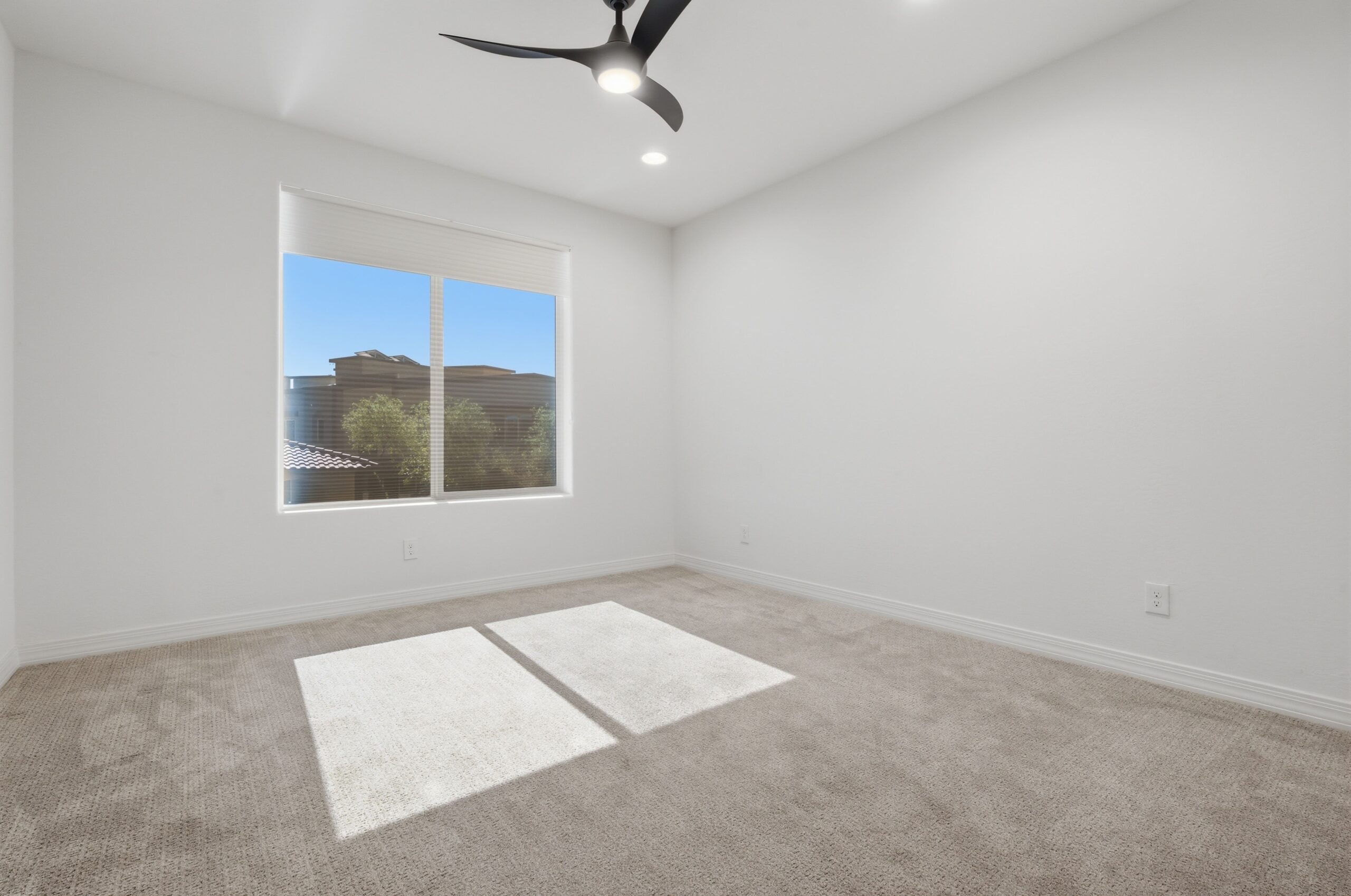 Before image alt